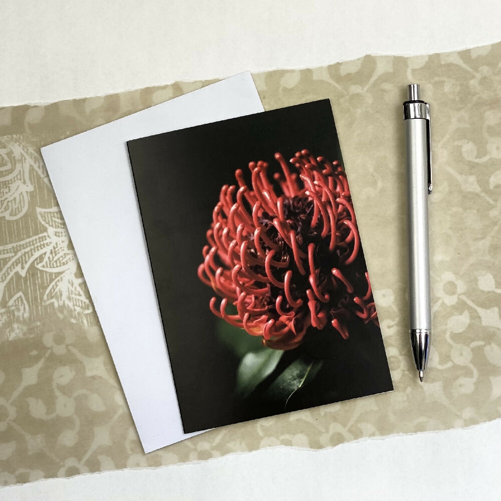 red waratah floral greeting card