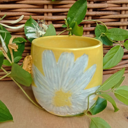 Sunny yellow Daisy cup