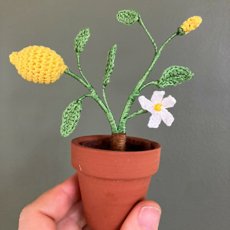 Miniature Cotton Crochet Lemon Tree