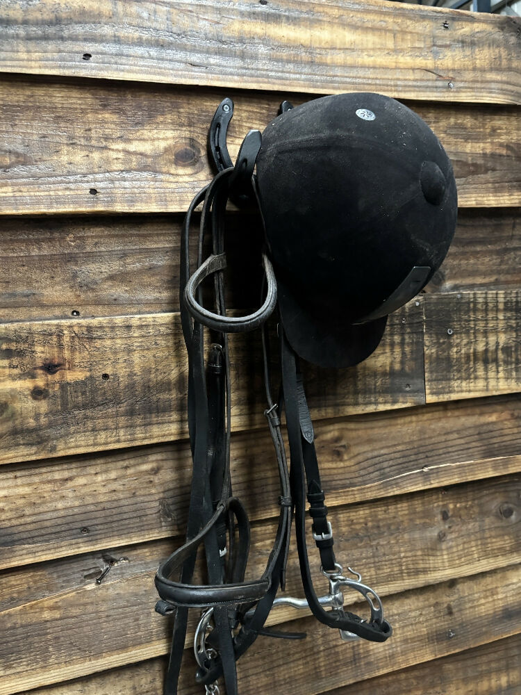 Horseshoe tack holder