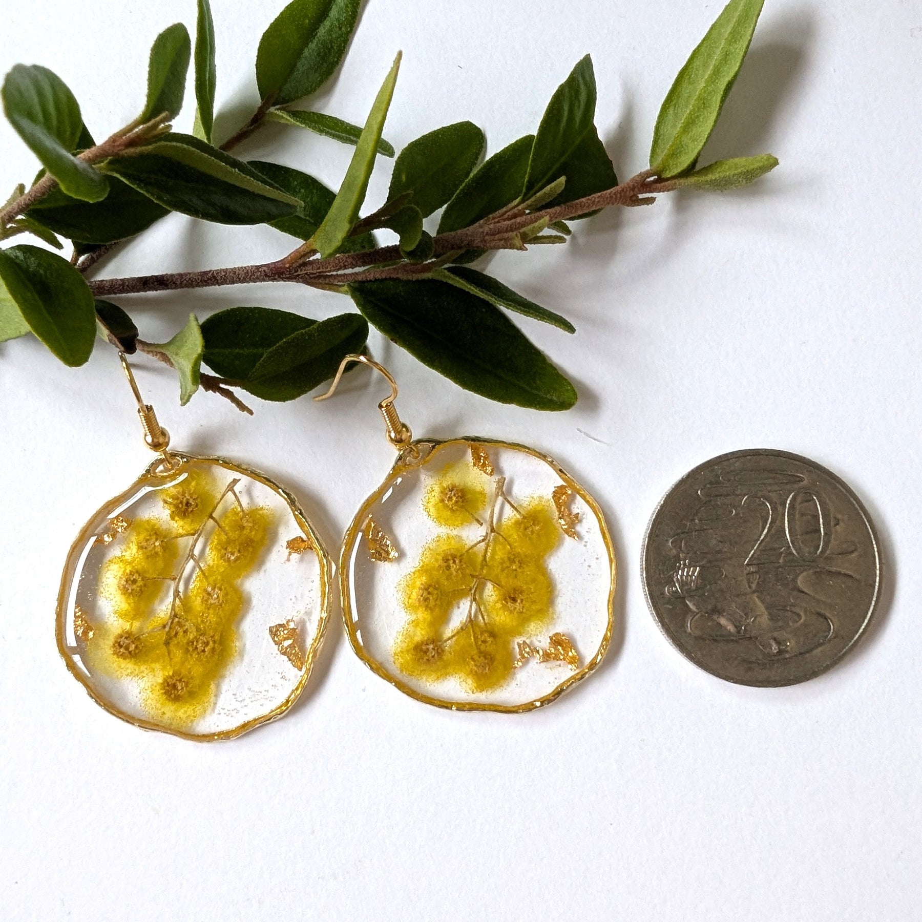 Real Golden Wattle Resin Dangle Earrings
