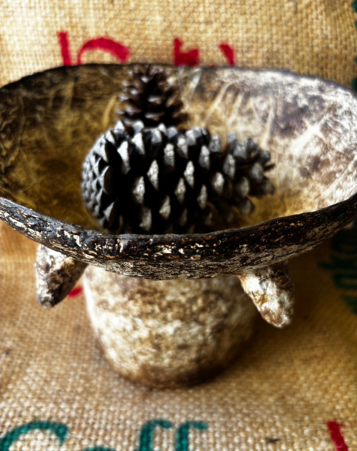Decorative bowl with spikes