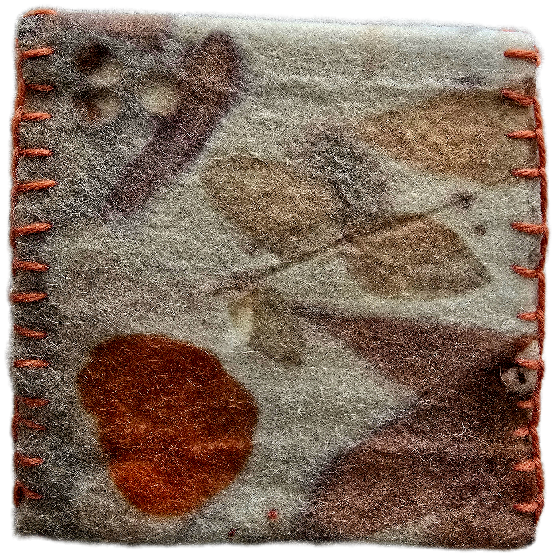 Eco Print Wool Pouch