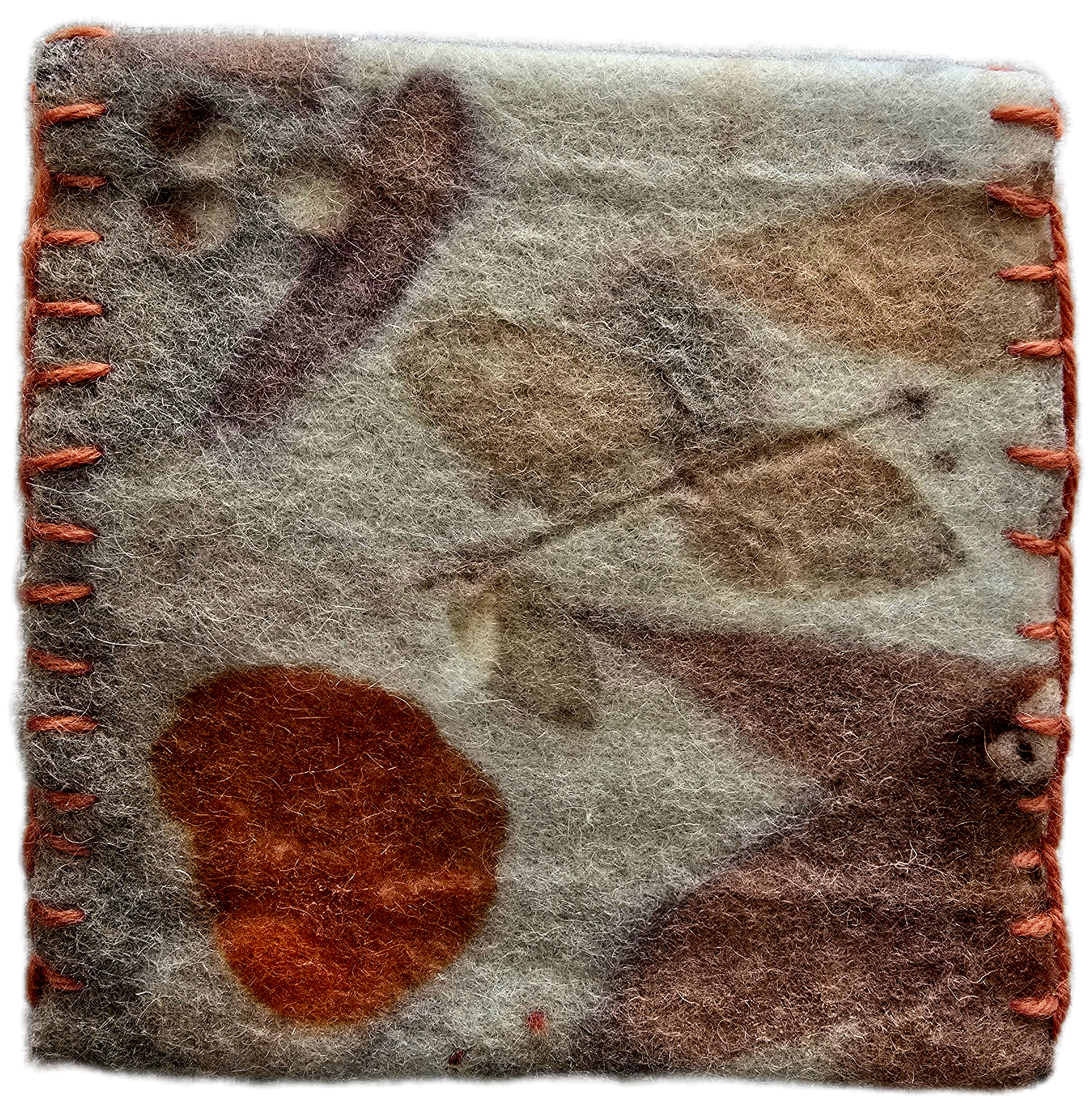 Eco Print Wool Pouch