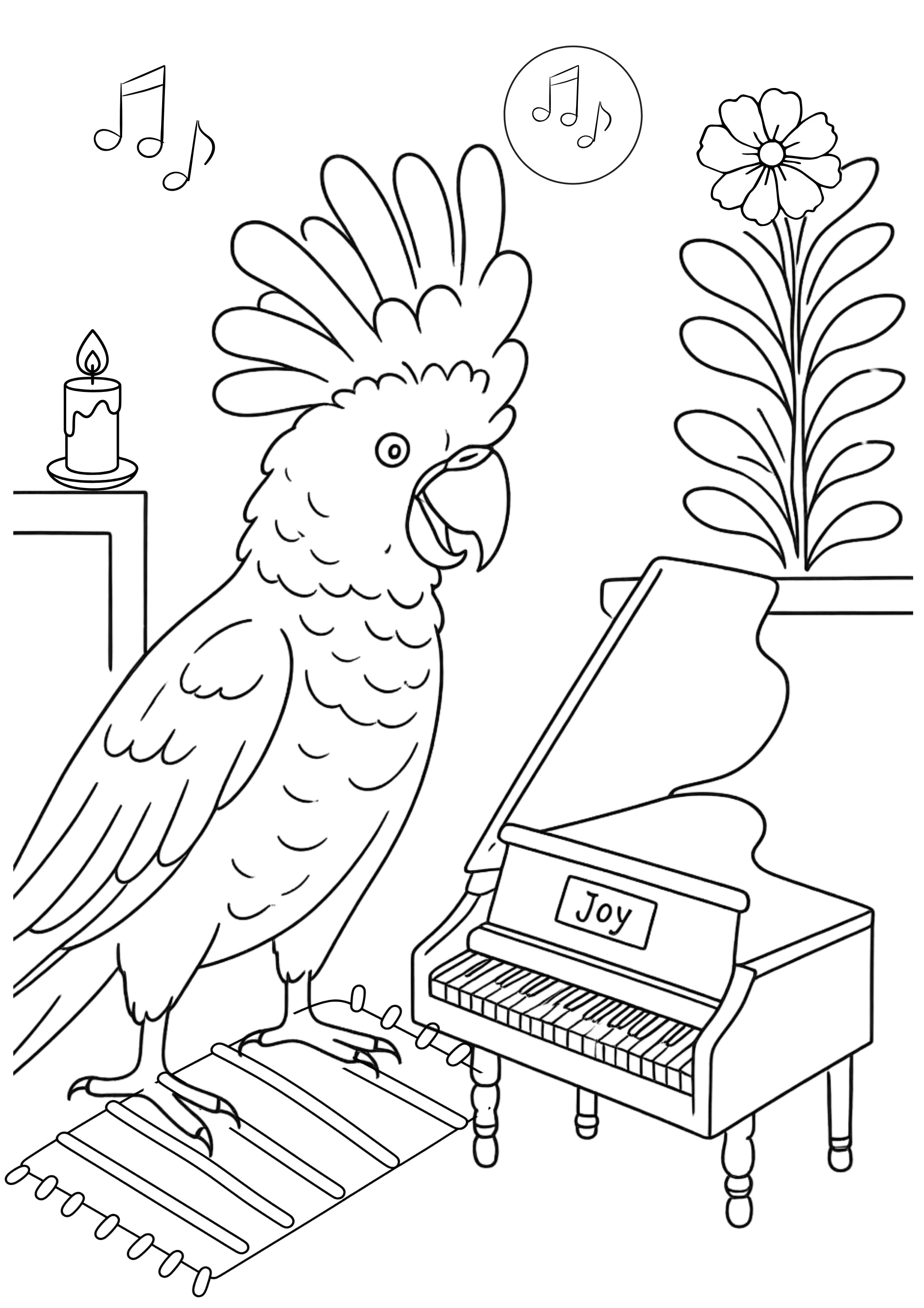 A4 Fine Art Colouring Sheet Pack | 5 Bird Designs