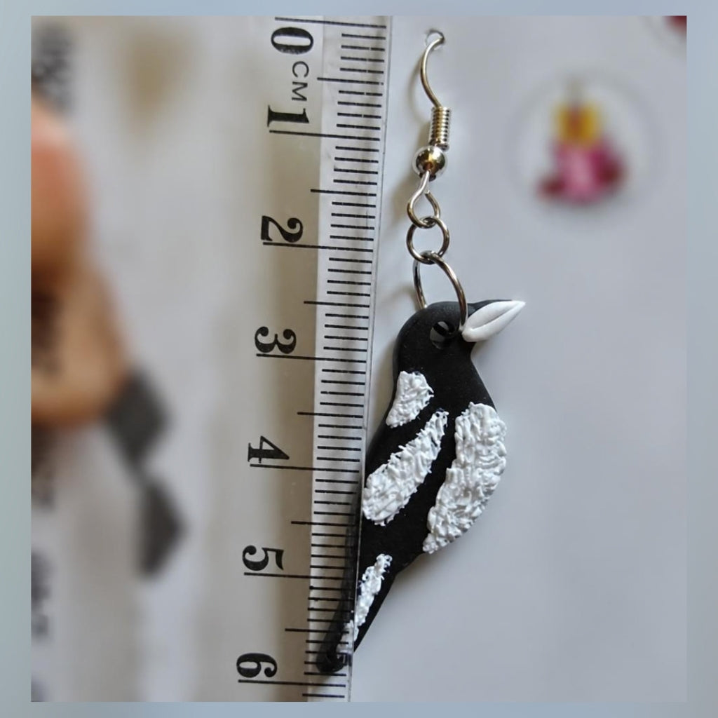 Australian Black and White Magpie Earrings