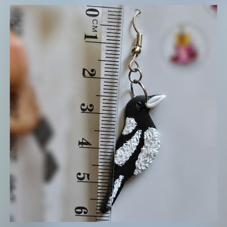 Australian Black and White Magpie Earrings