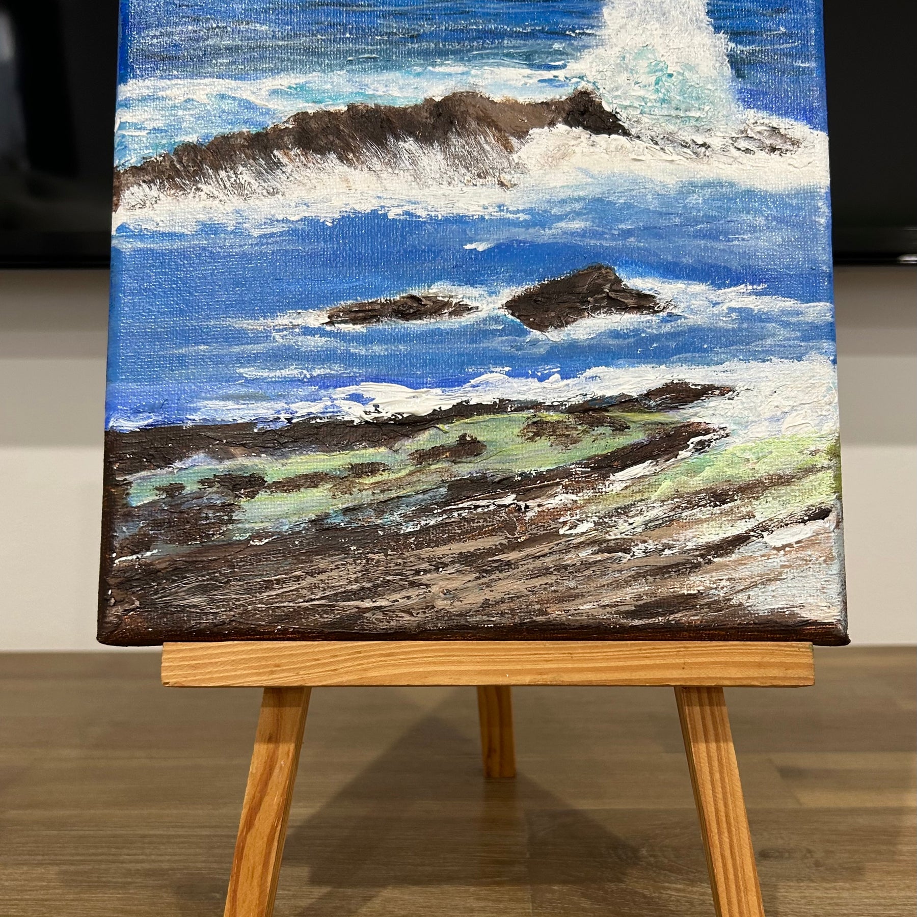 Mollymook NSW Wild Wave