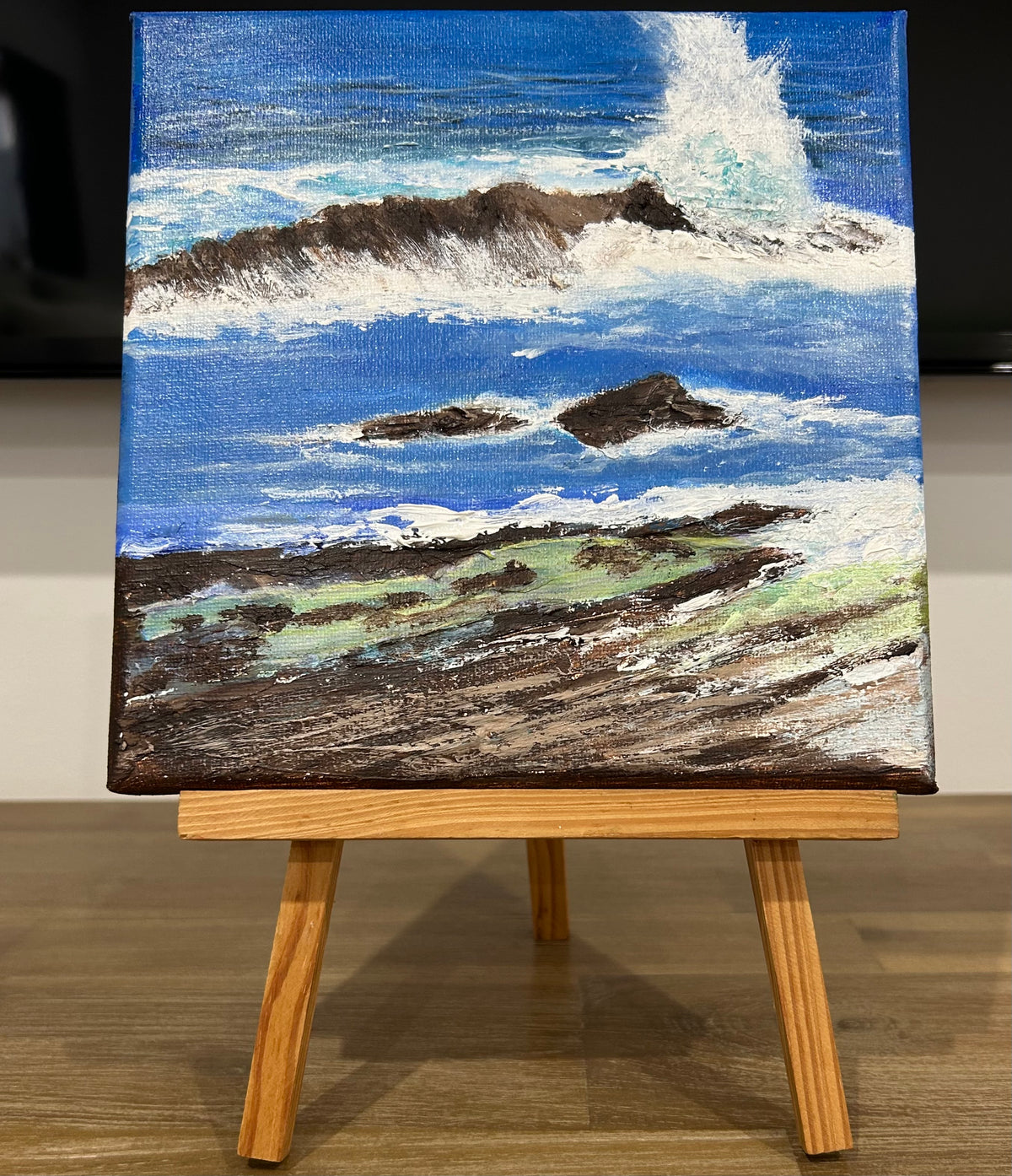Mollymook NSW Wild Wave