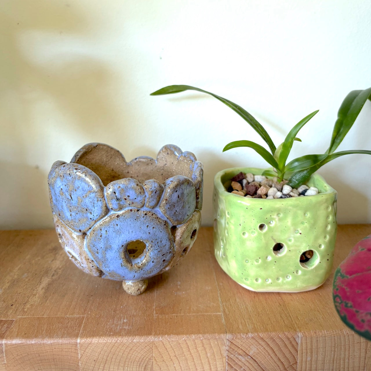 Ceramic orchid pot – circles design
