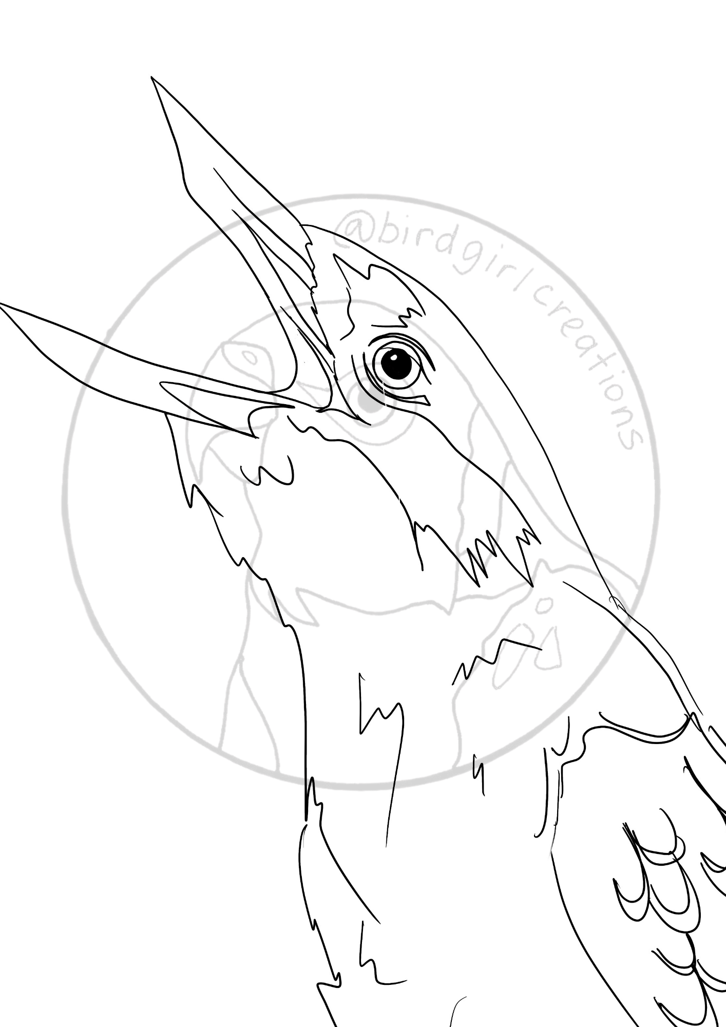 Kookaburra colouring page PDF