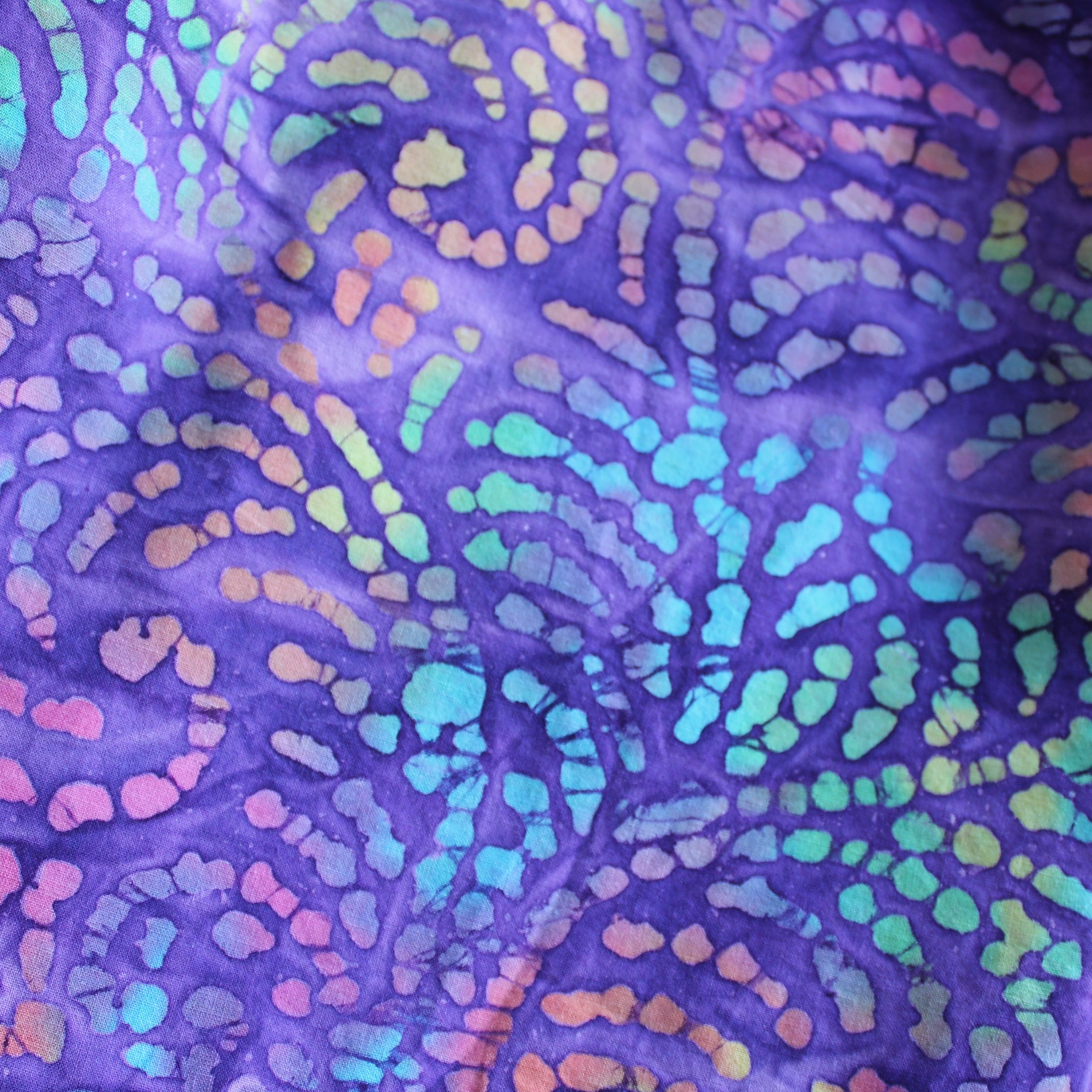 Womens Size Large, Mid Skirt, Batiks/Lizards.
