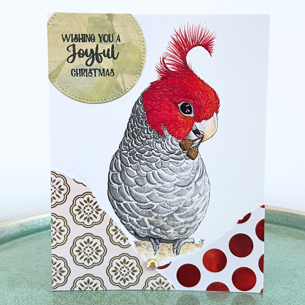 Christmas card - seagulls and cockatoos (choice of options)