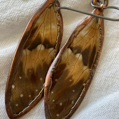 Unique Cicada Wing Earrings in Preserved UV Resin with Aged Copper Border