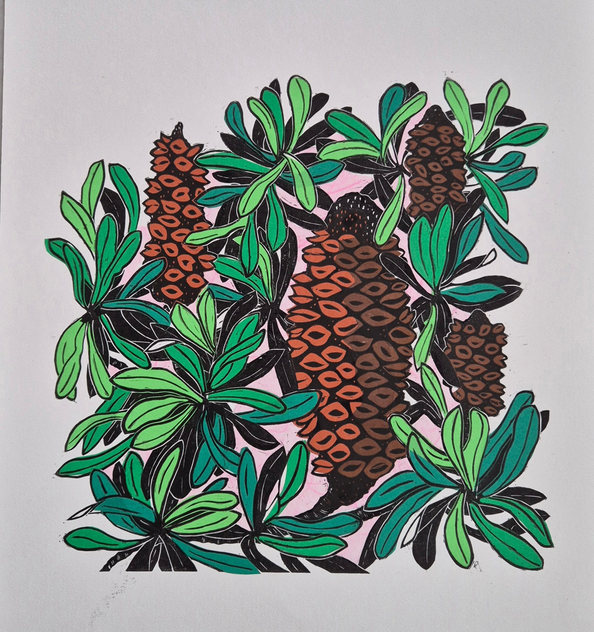 Banksia linocut original artwork chine colle Pink Sky