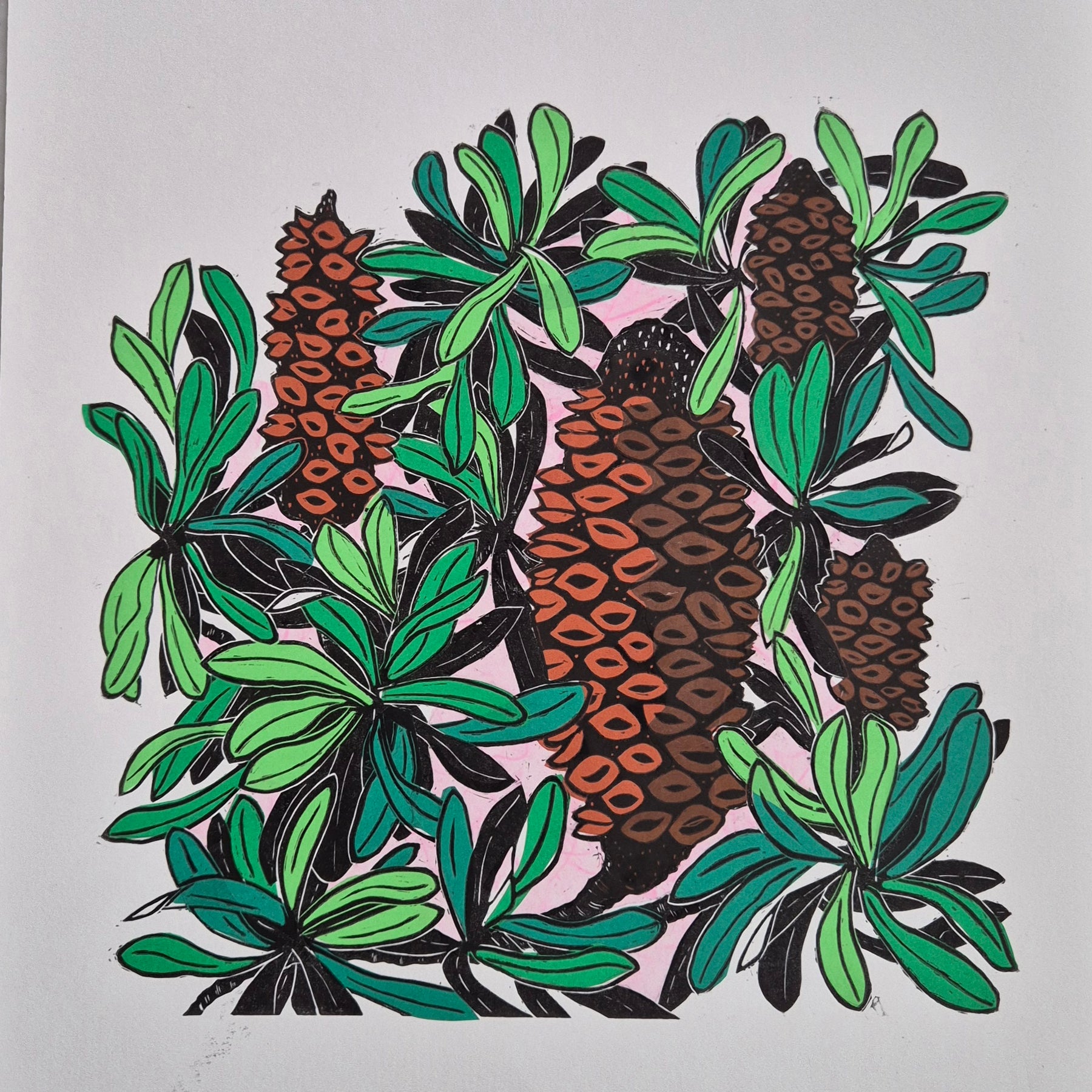 Banksia linocut original artwork chine colle Pink Sky