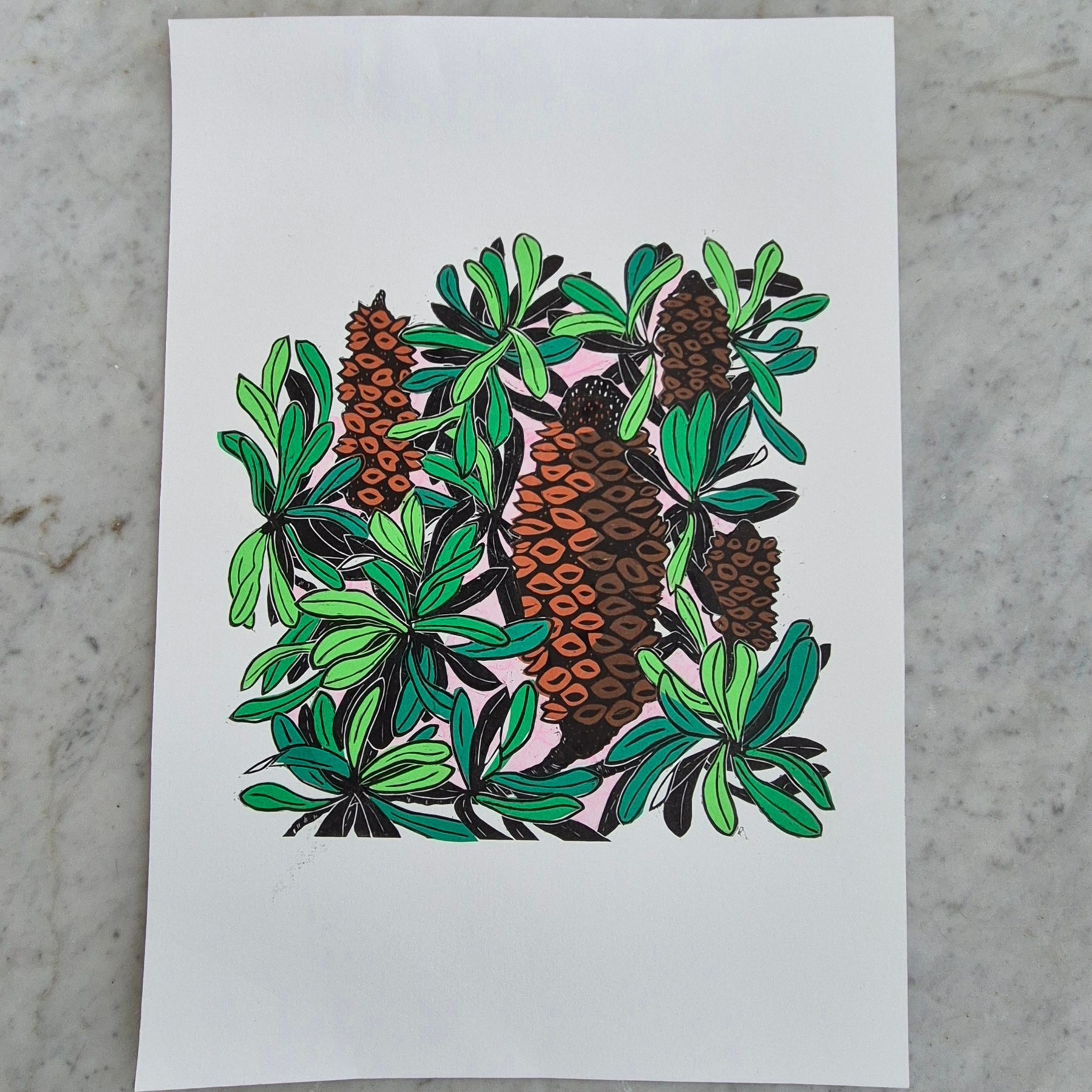 Banksia linocut original artwork chine colle Pink Sky