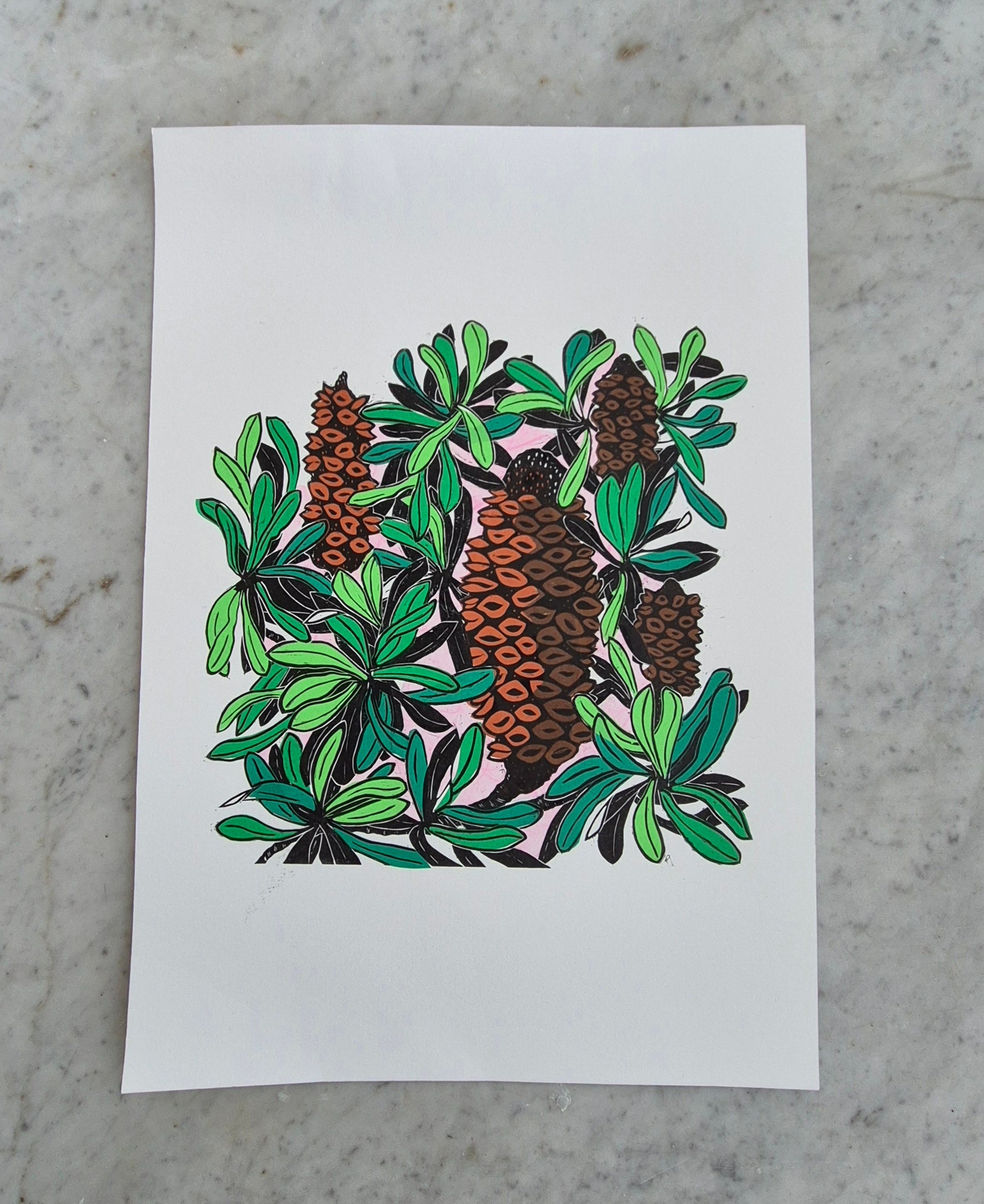 Banksia linocut original artwork chine colle Pink Sky