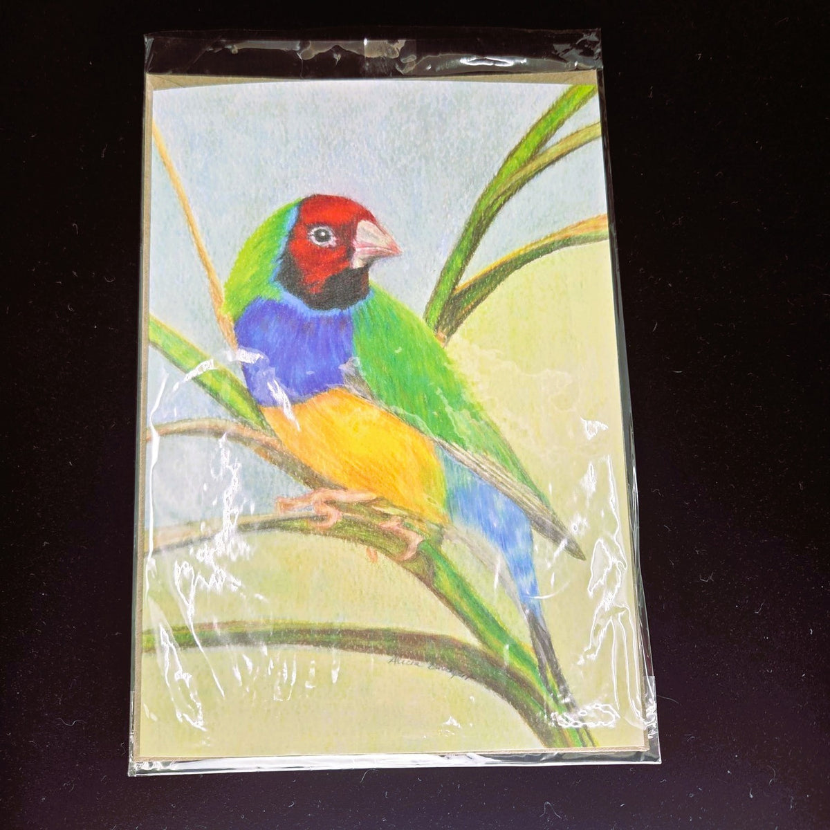 Gouldian Finch Greeting Card (blank inside)- 5cm x 7cm (127mm x 178mm)