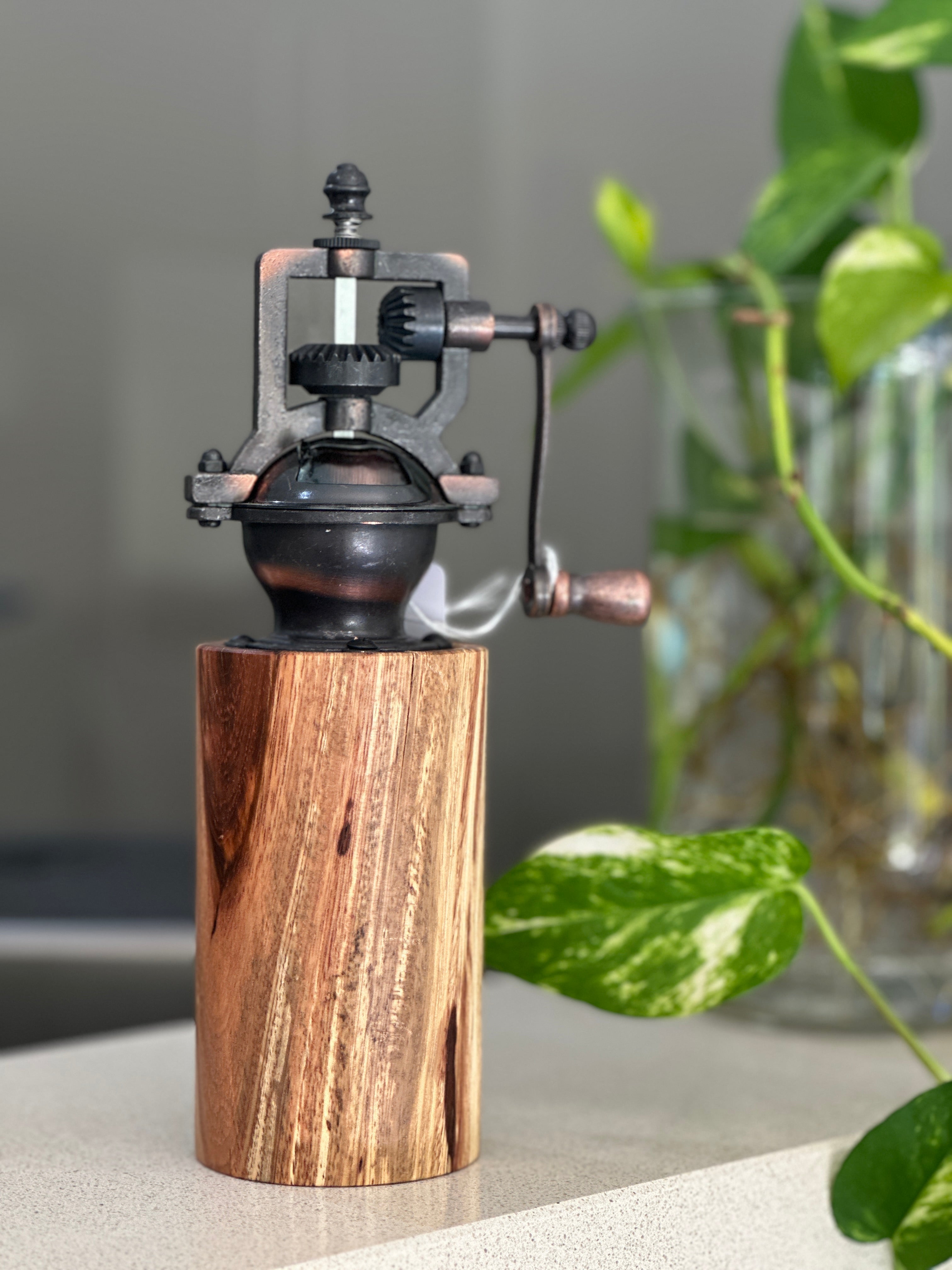 Antique Salt / Pepper Mill