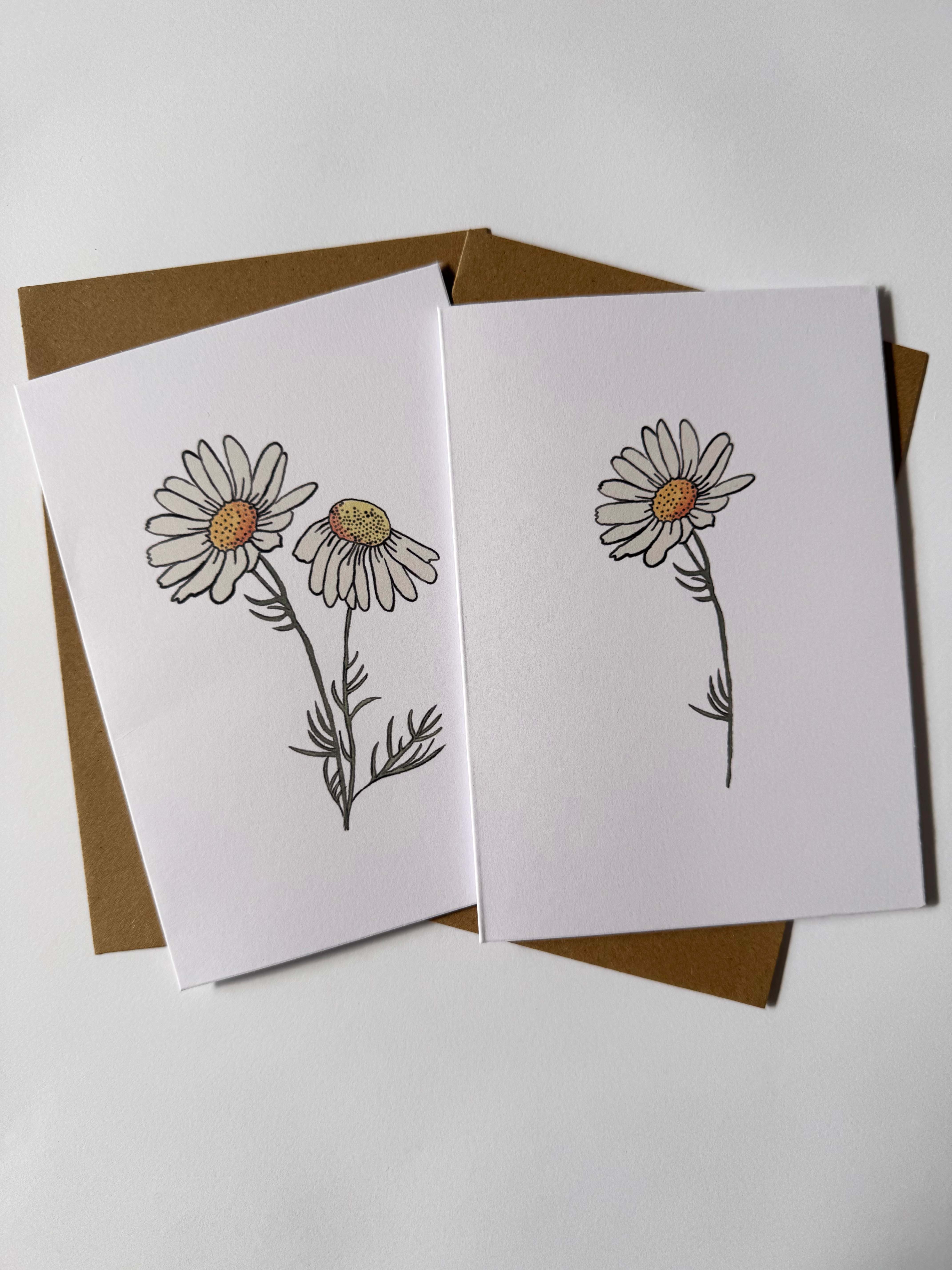 Daisy Cards: Hand-Drawn Floral Illustration, Recycled Card (Set of 2)