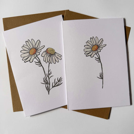 Daisy Cards: Hand-Drawn Floral Illustration, Recycled Card (Set of 2)