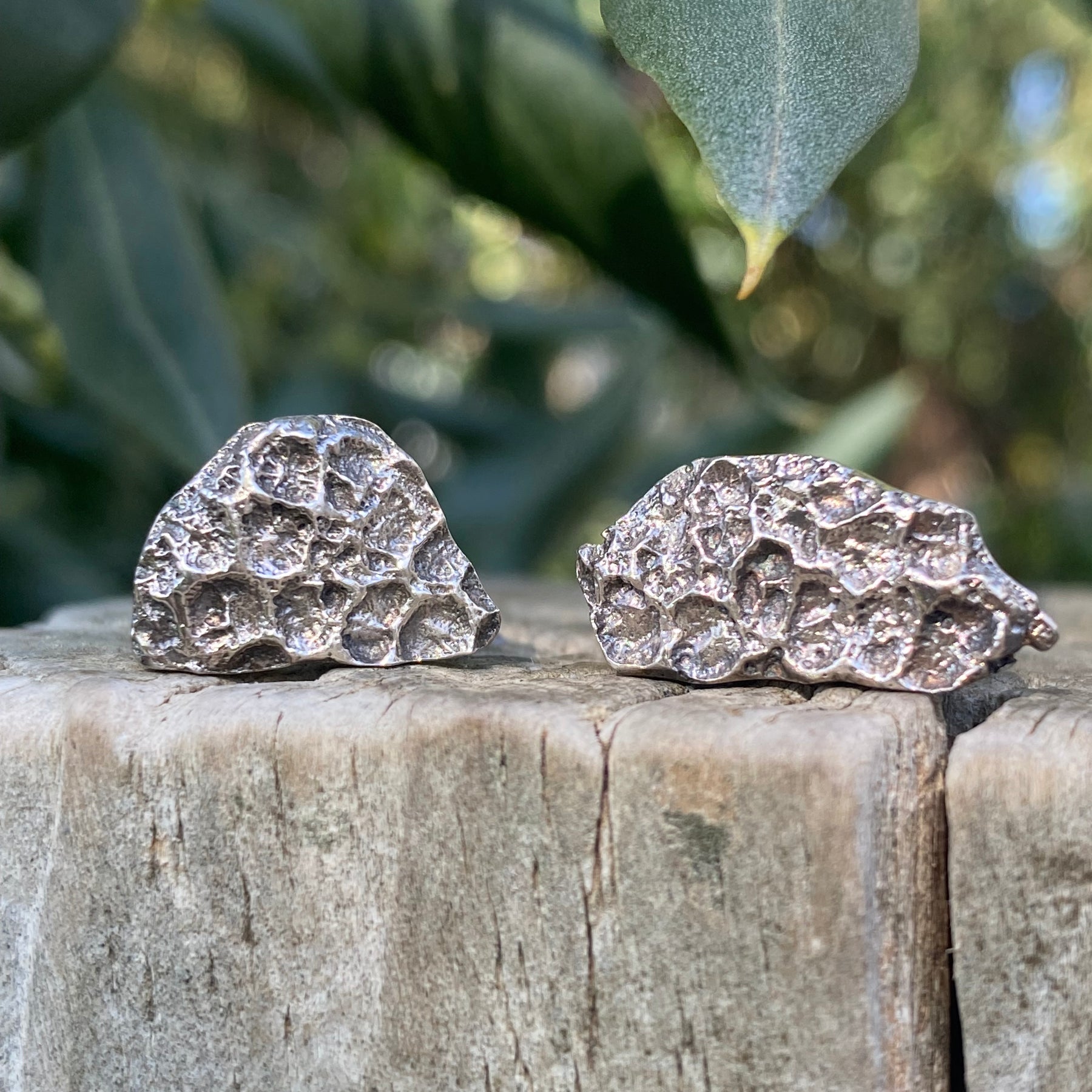 Rockpool Coral Impressions Stud Earrings, Sterling Silver