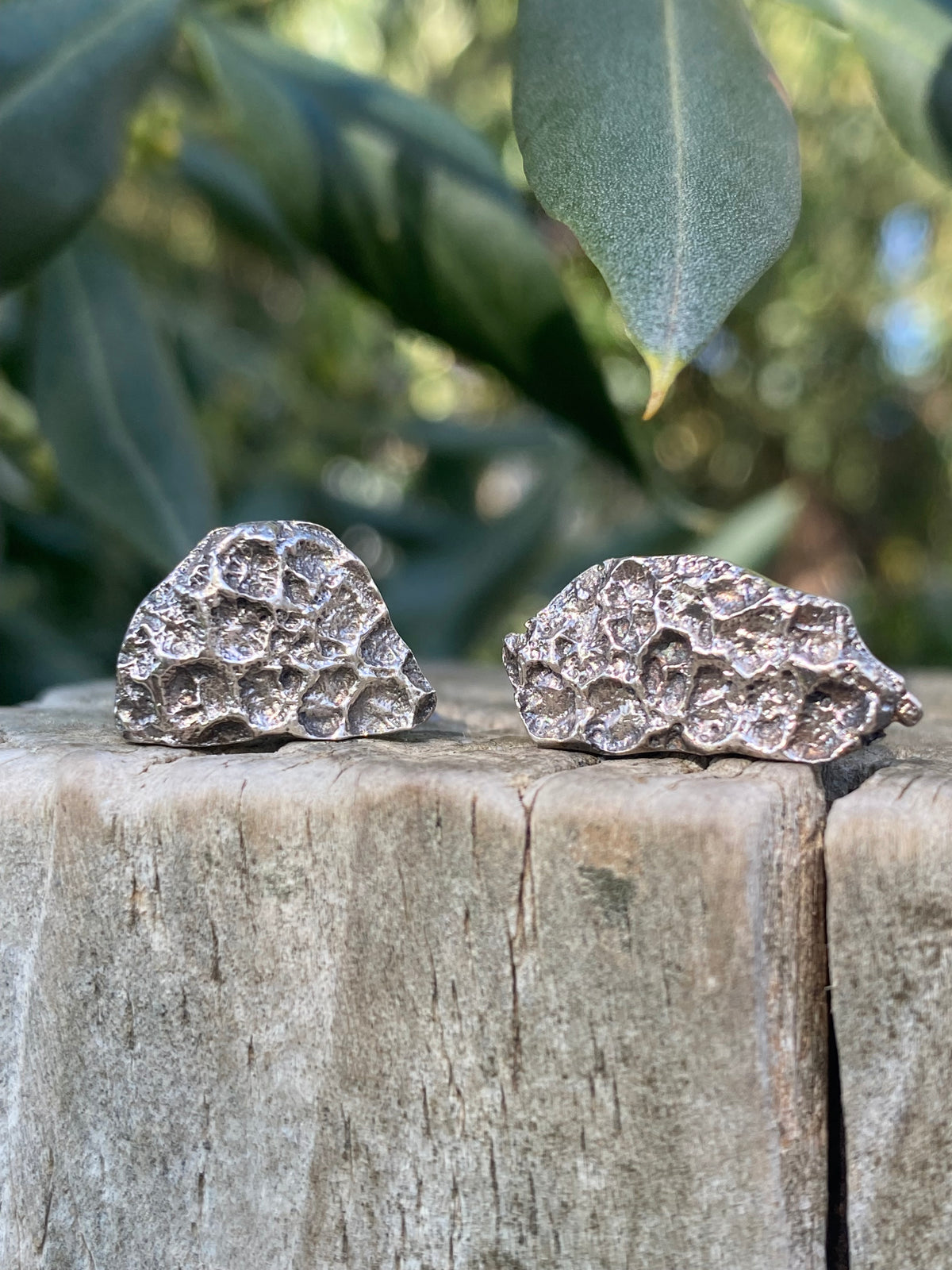 Rockpool Coral Impressions Stud Earrings, Sterling Silver
