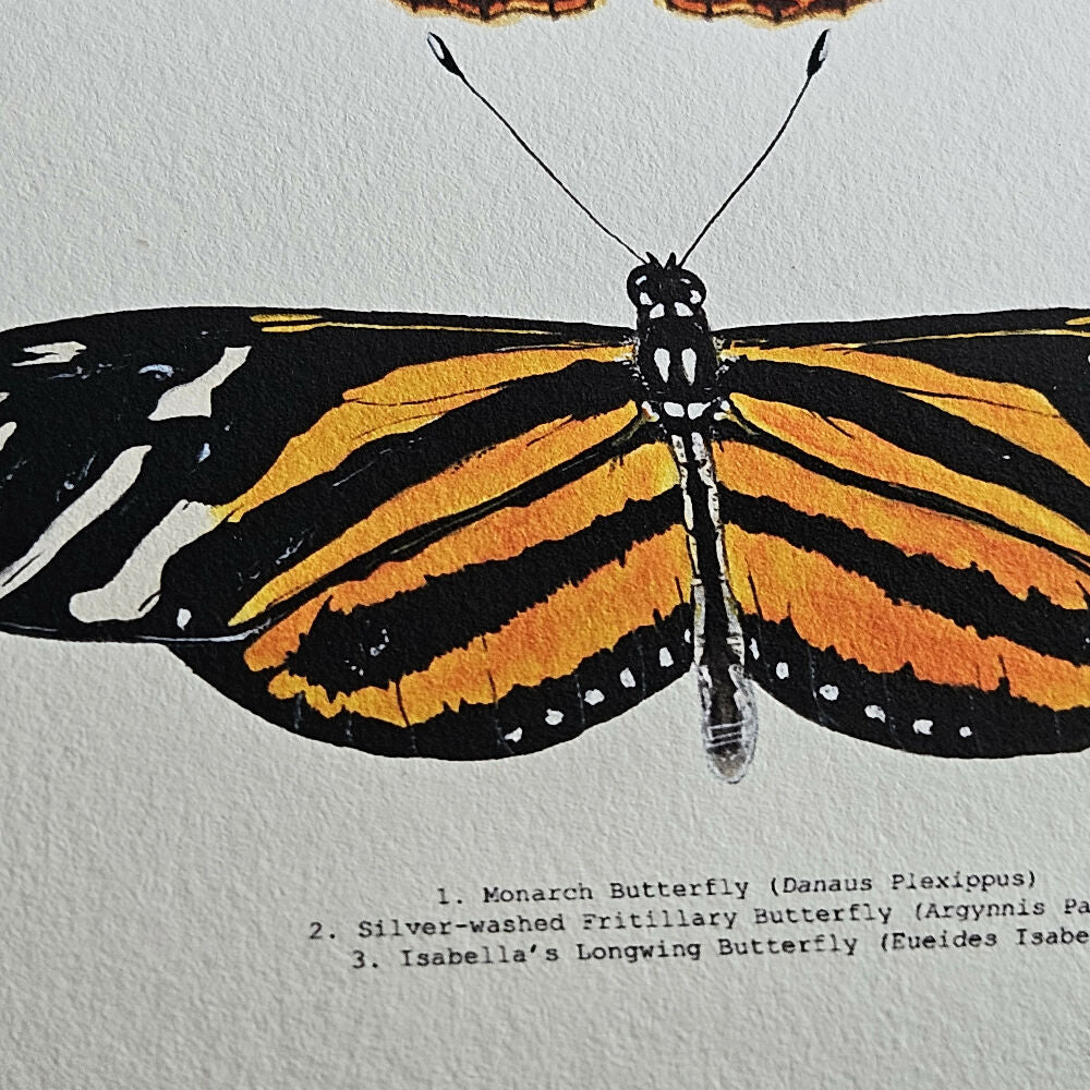 at print - the fauna series - orange butterfly trio