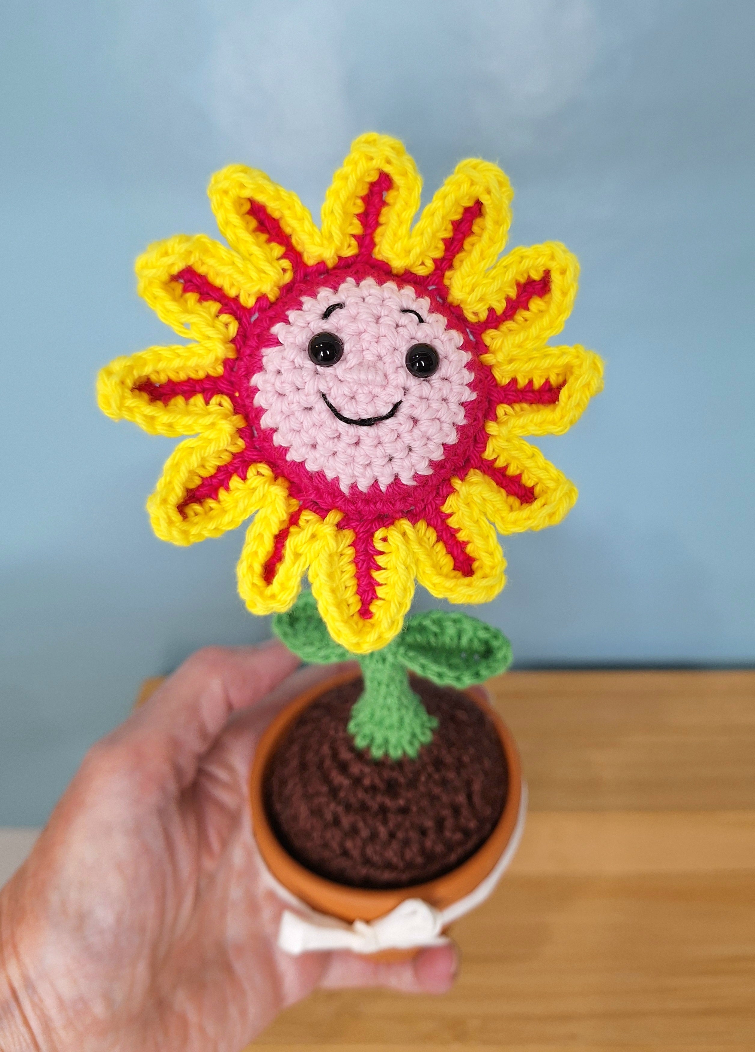 Happy Daisy Crocheted Flower in  Terracotta Pot