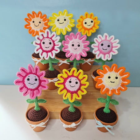 Happy Daisy Crocheted Flower in  Terracotta Pot