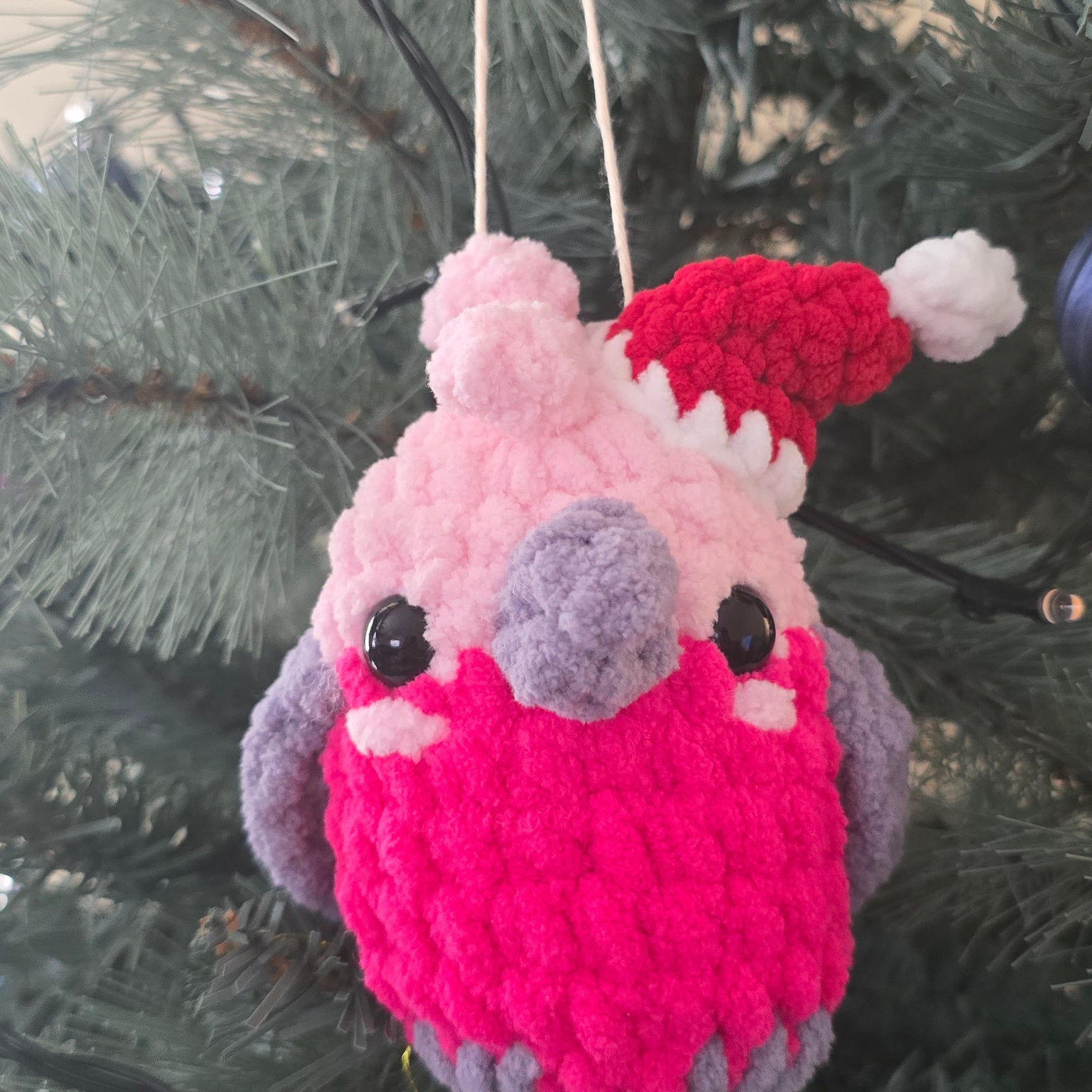 Aussie Birds- Christmas Edition