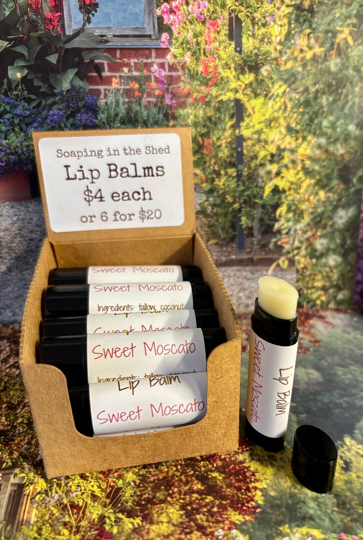 Pack of 6 Lip Balms