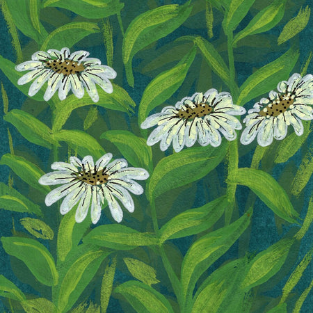 ACEO 