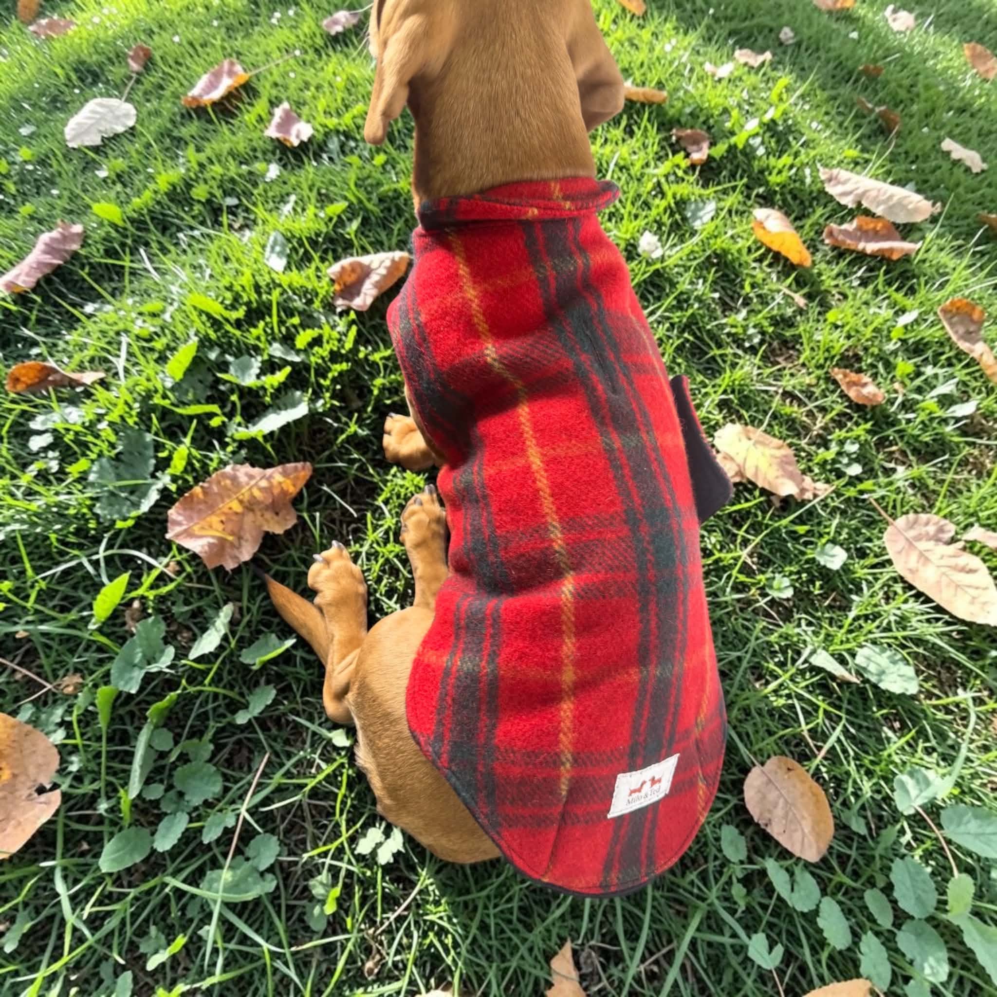 Upcycled woolen dachshund dog, puppy warm coats/jackets