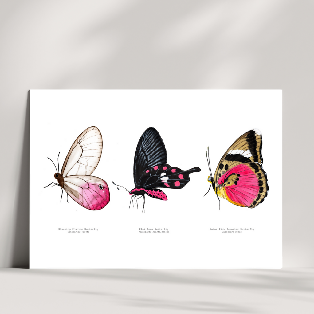 art print - the fauna series  pink butterfly trio