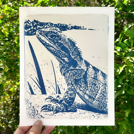 Water Dragon Art Print, Original Cyanotype, 8x10 inches, Lizard Picture,