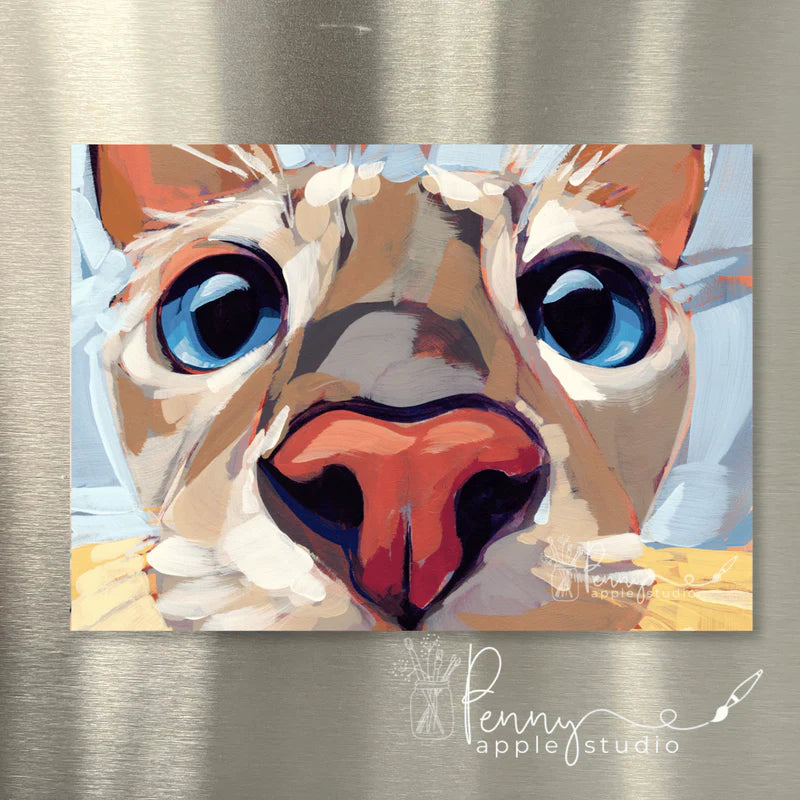 (1) Kitty Cat Fridge Magnet – Choose your favourite!
