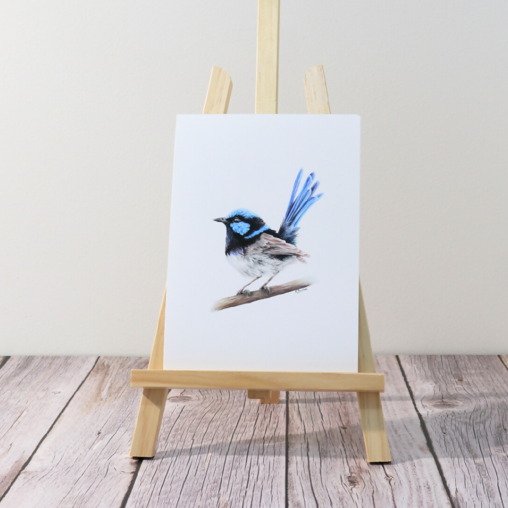 Australian-artist-wall-art-superb-fairy-wren-print