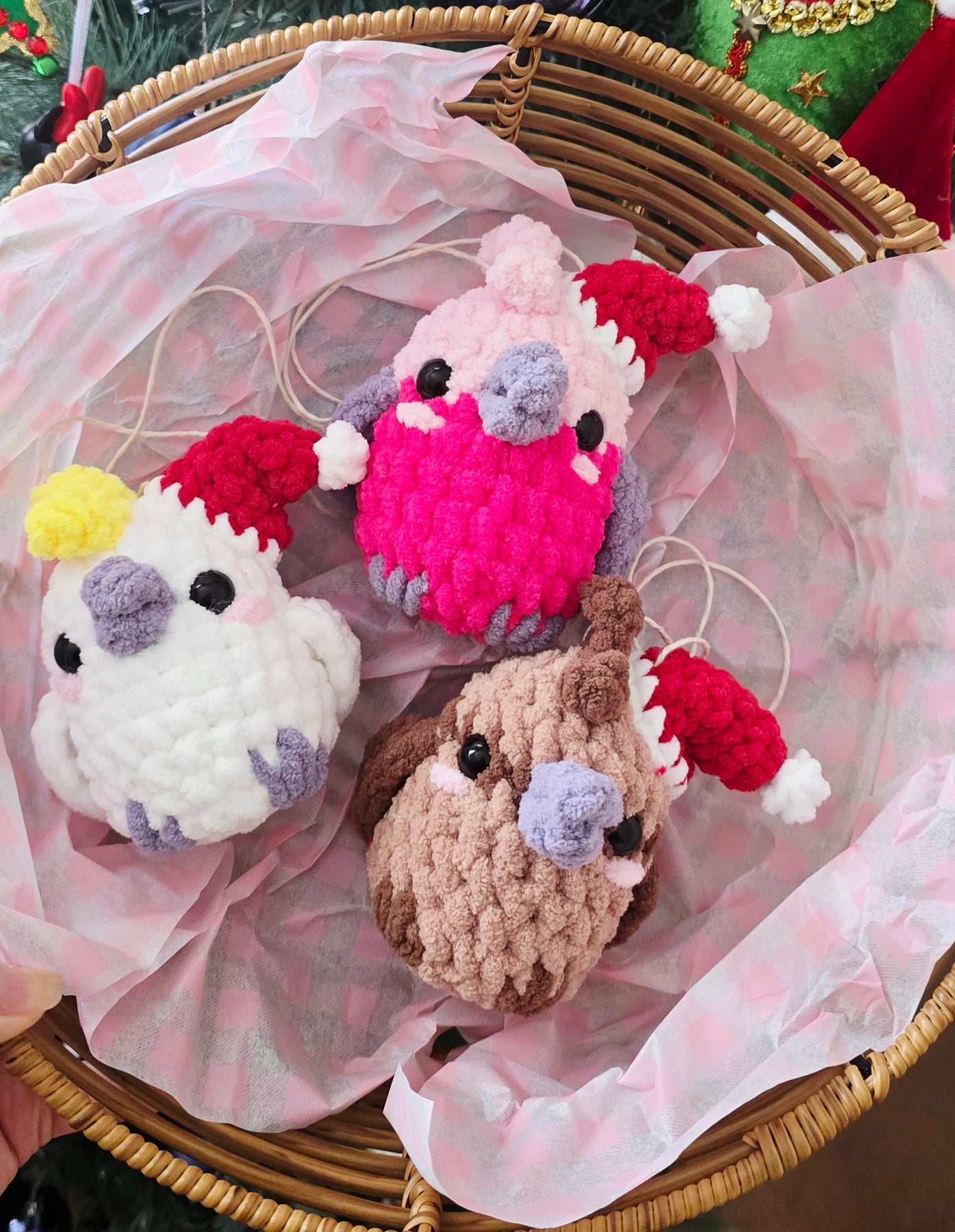 Aussie Birds- Christmas Edition