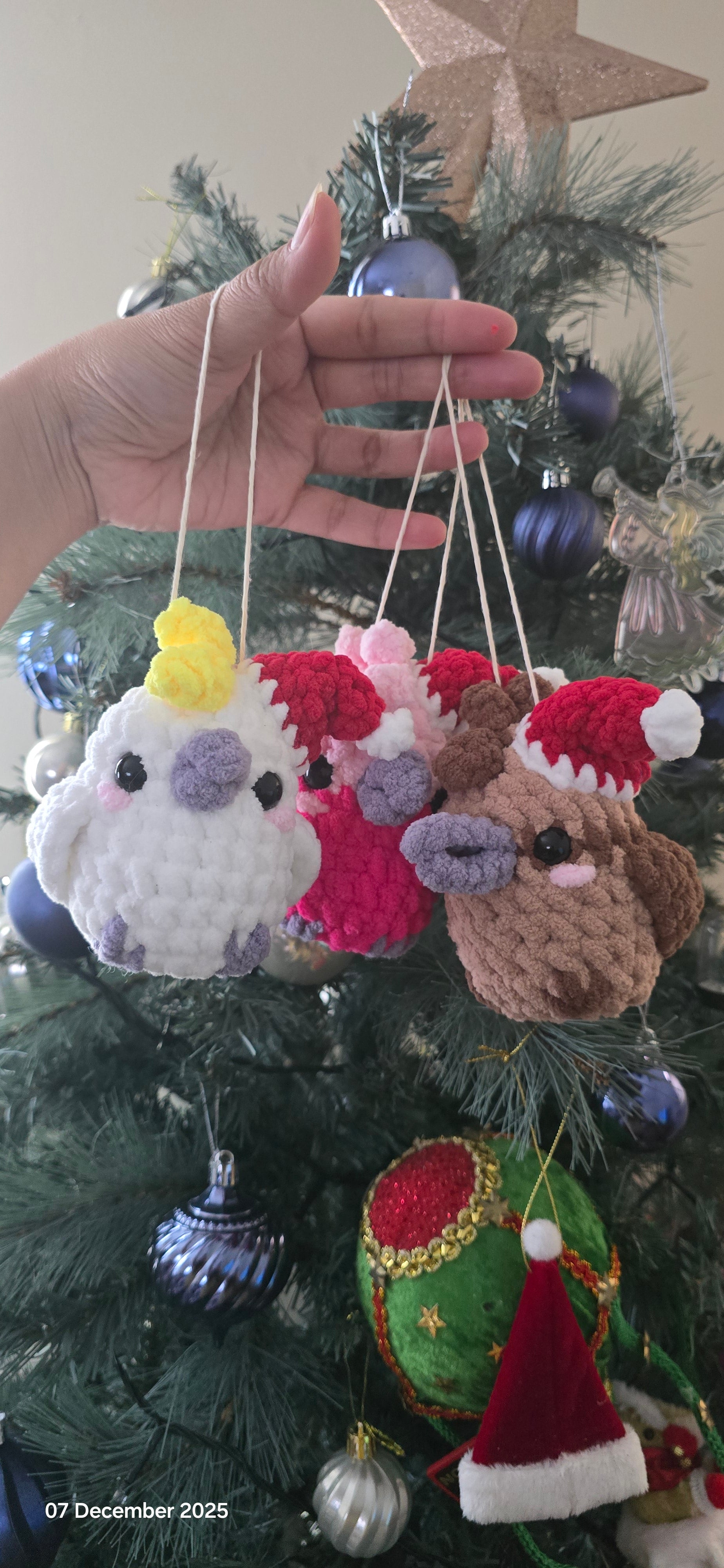 Aussie Birds- Christmas Edition