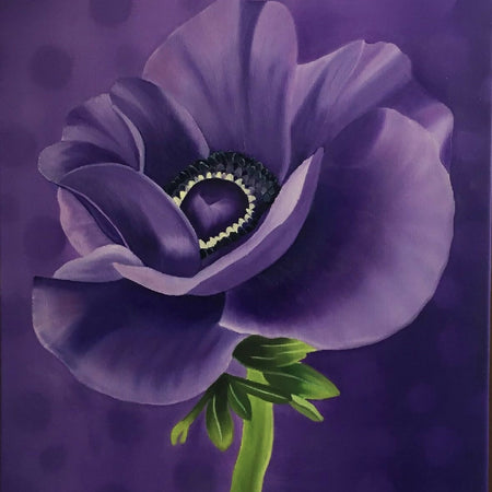 Purple Anemone Poppy