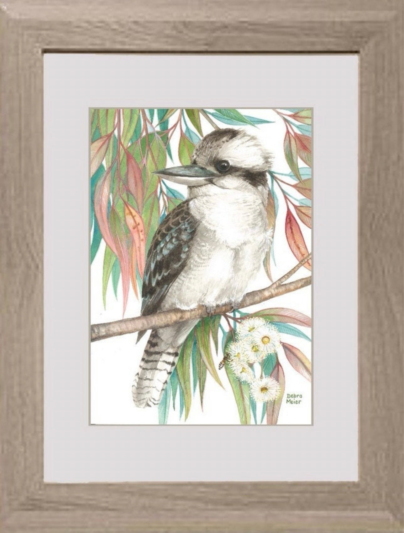 Kookaburra with Gumleaves art print by Debra Meier Art