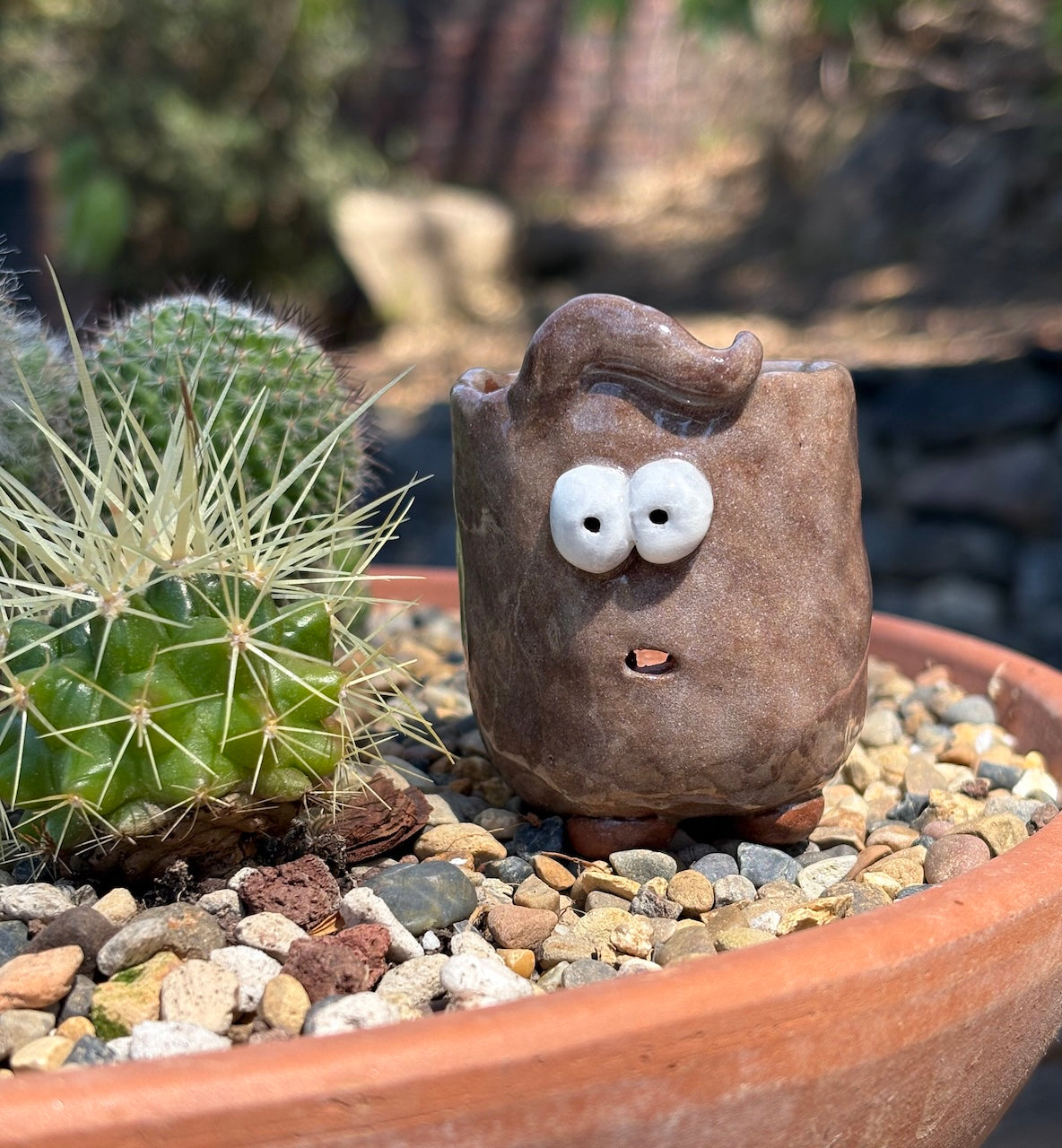 Ceramic tiny monster pot for cactus & succulent
