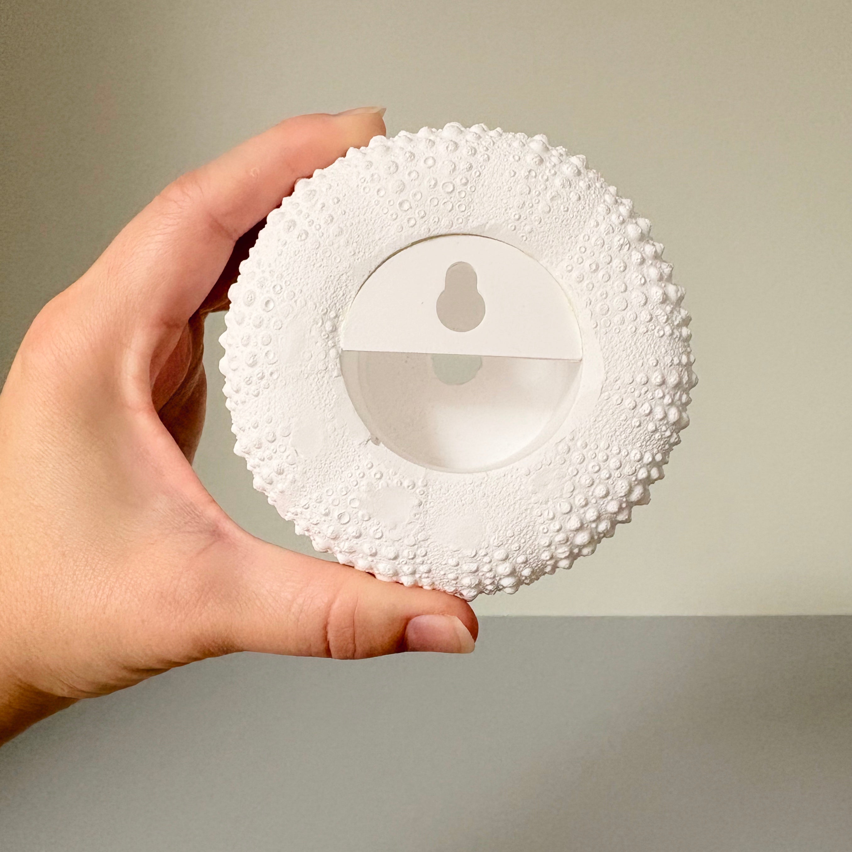 sea urchin art piece, wall hanging