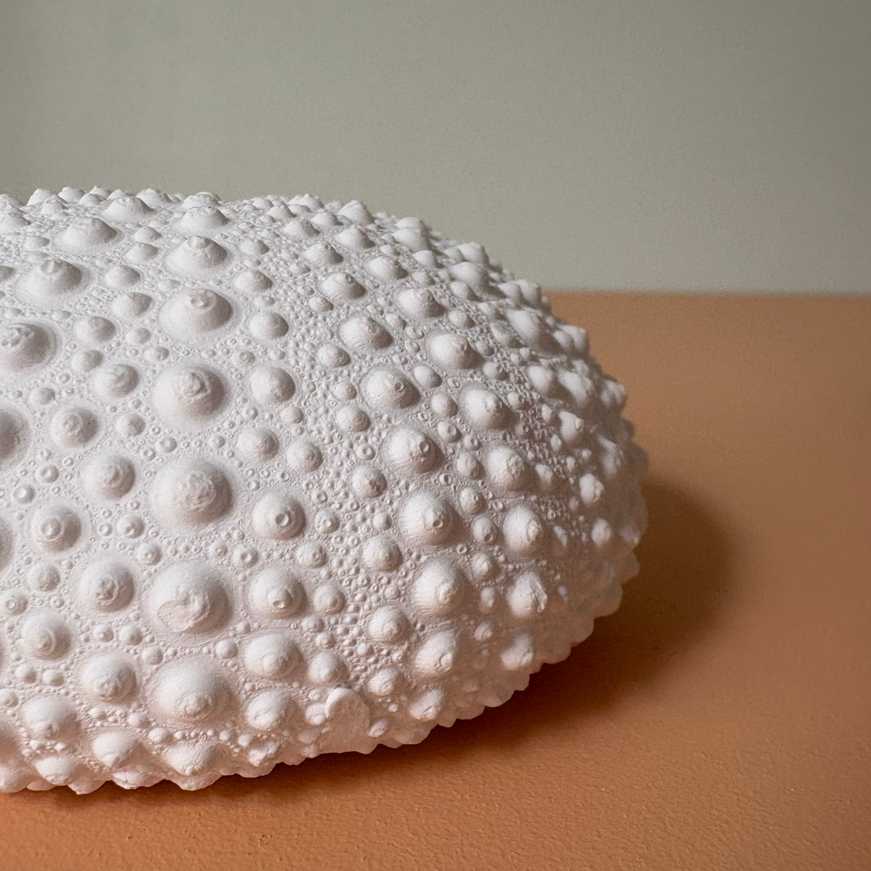 sea urchin art piece, wall hanging