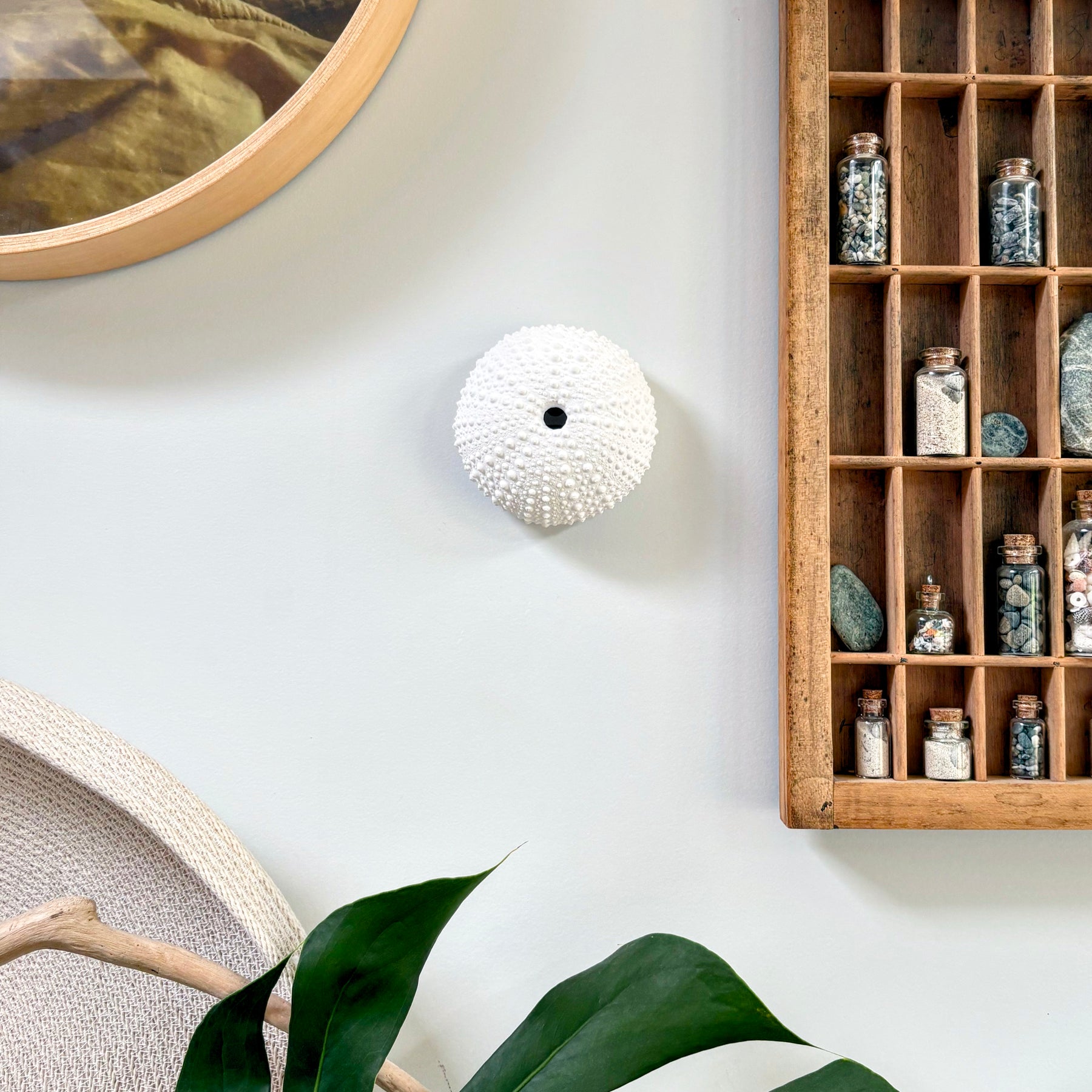 sea urchin art piece, wall hanging