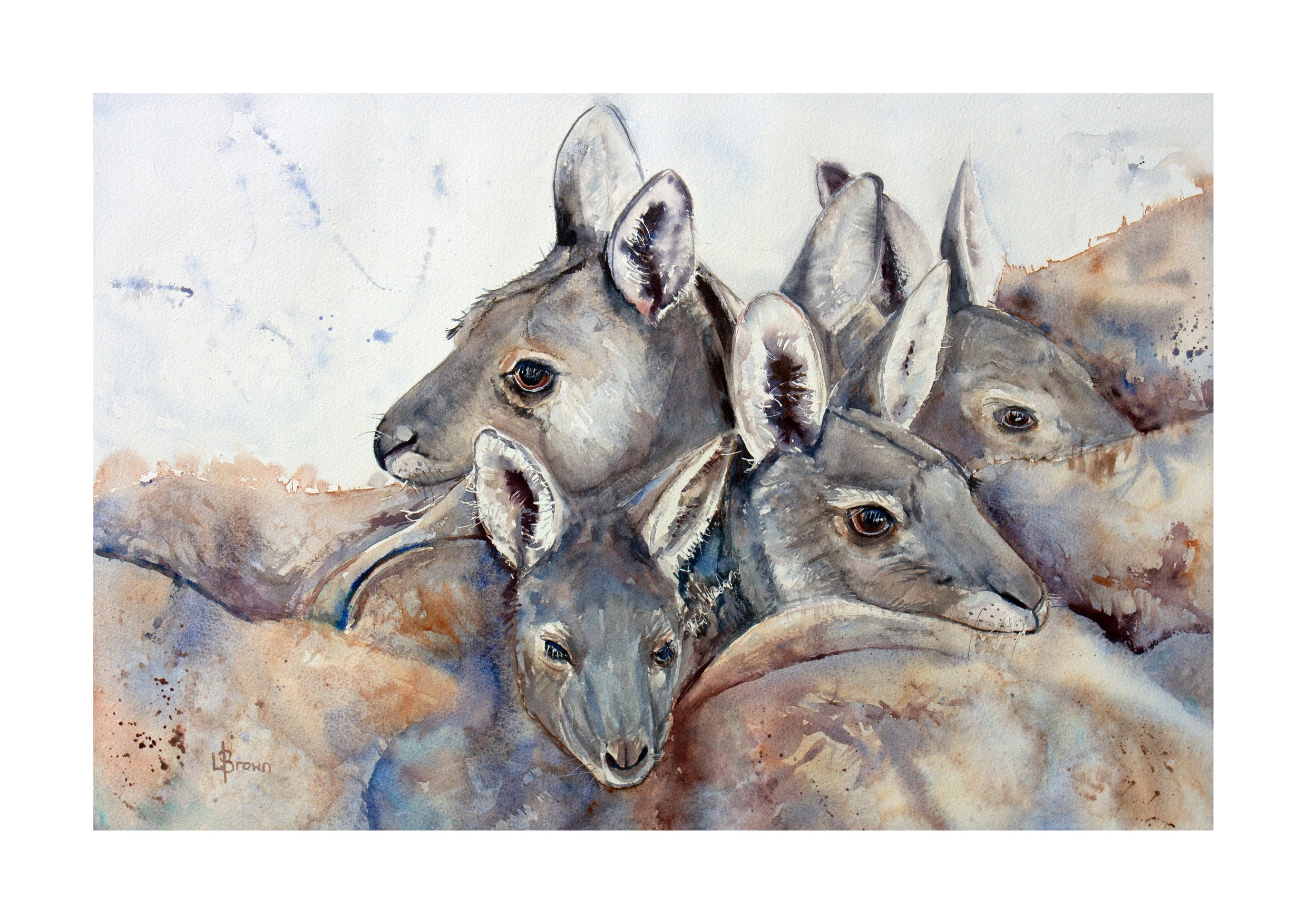 Kangaroo Mob A3 Fine Art Print