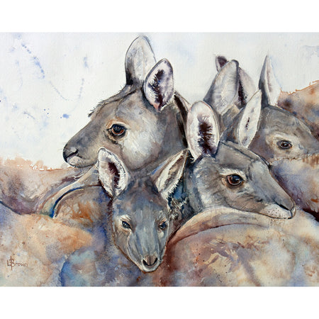 Kangaroo Mob A3 Fine Art Print