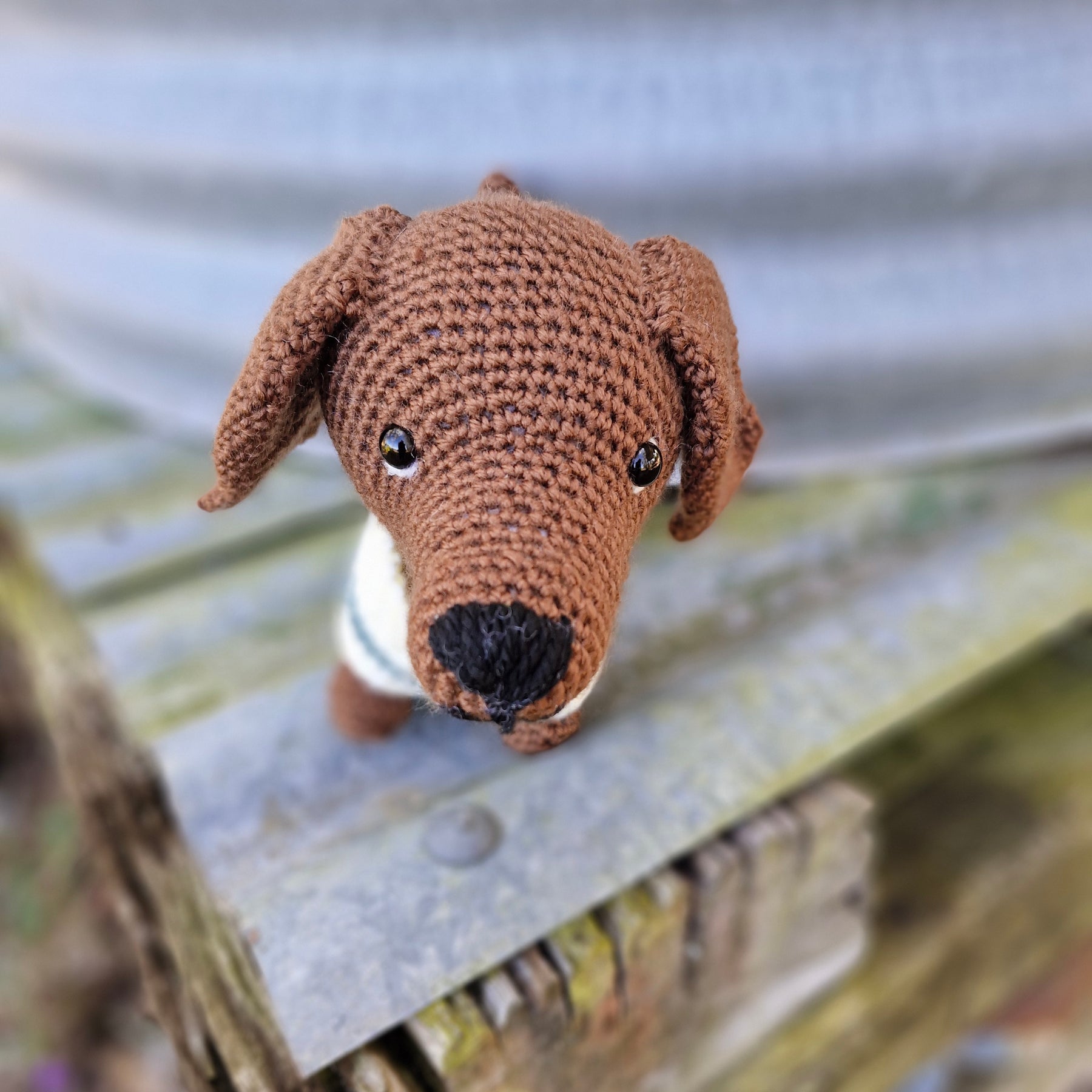 Super cute Hand crochet Dachshund Dog (Sausage Dog)
